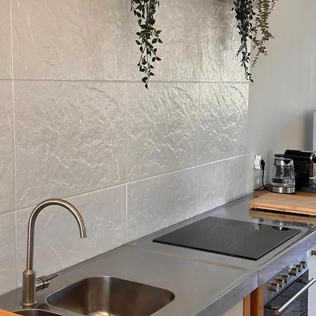 Modern Wohnen Mit Rheinpanorama Apartment