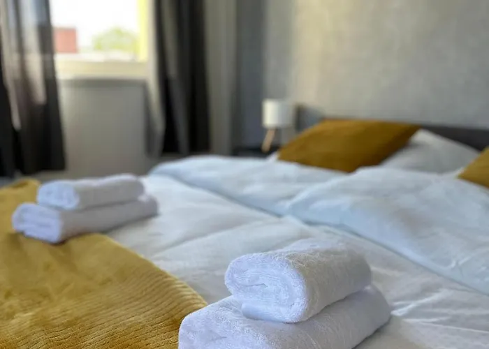 Modern Wohnen Mit Rheinpanorama