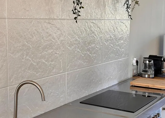 Modern Wohnen Mit Rheinpanorama Appartement