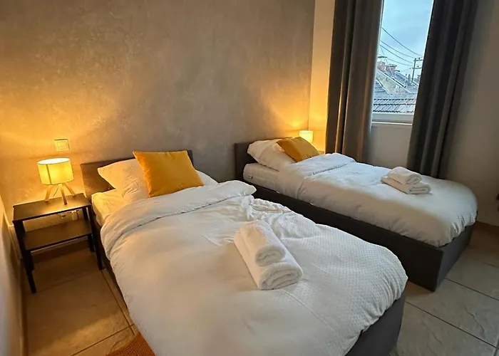 Appartement Modern Wohnen Mit Rheinpanorama