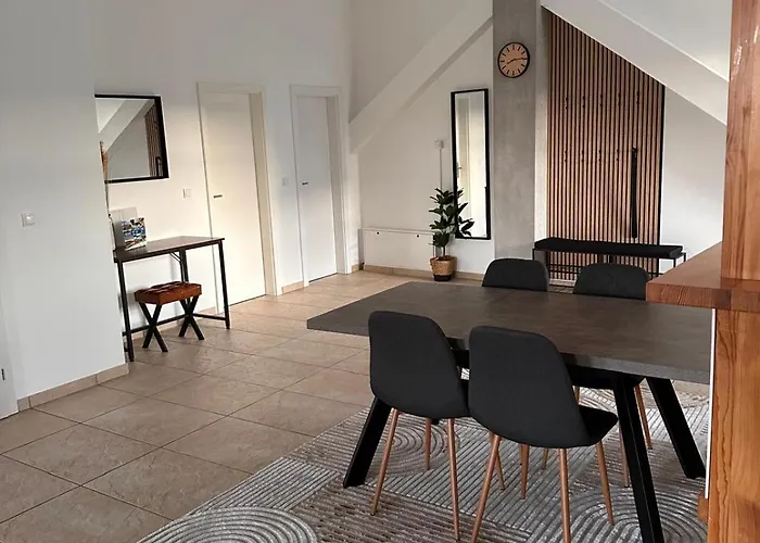 Appartement Modern Wohnen Mit Rheinpanorama *