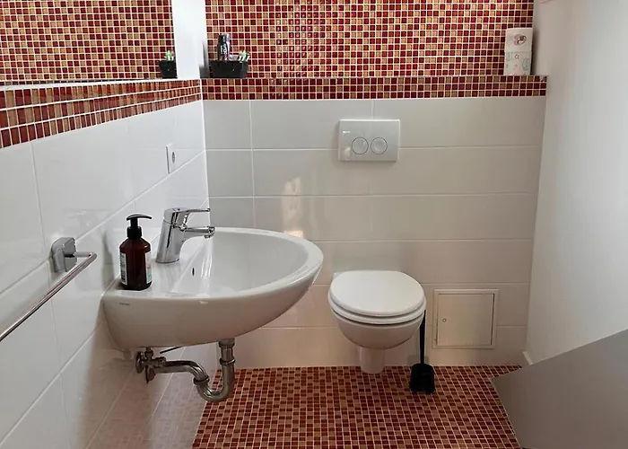 Modern Wohnen Mit Rheinpanorama Appartement